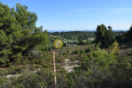 Αγροτεμάχια 3.394 τ.μ. για πώληση