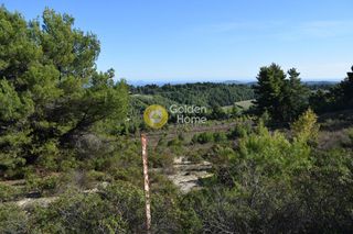 Αγροτεμάχια 3.394 τ.μ. για πώληση