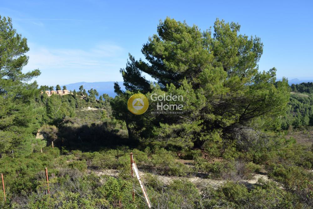 Αγροτεμάχια 3.394 τ.μ. προς πώληση, Αγία Παρασκευή Παλλήνης