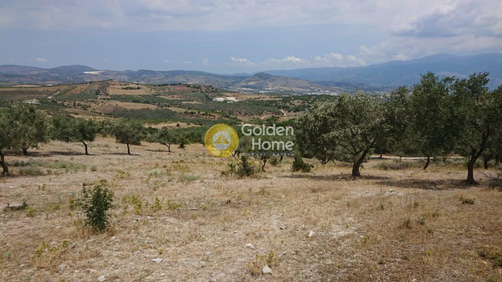 Αγροτεμάχια 9.535 τ.μ. πρός πώληση, Μαγνησία, Αισωνία