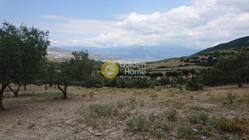 Αγροτεμάχια 9.535 τ.μ. πρός πώληση, Μαγνησία, Αισωνία