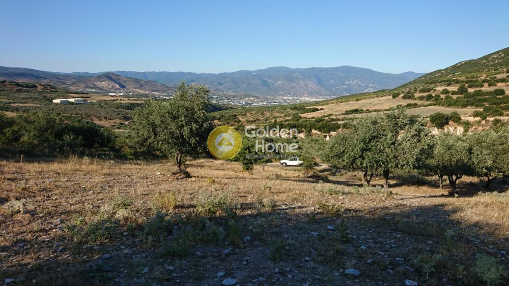 Αγροτεμάχια 9.535 τ.μ. πρός πώληση, Μαγνησία, Αισωνία