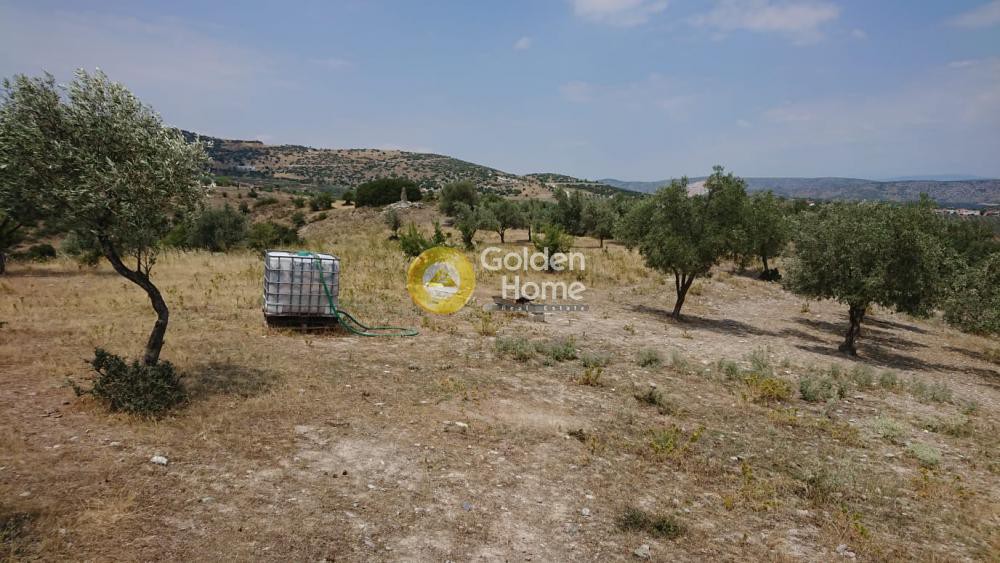 Αγροτεμάχια 9.535 τ.μ. πρός πώληση, Μαγνησία, Αισωνία