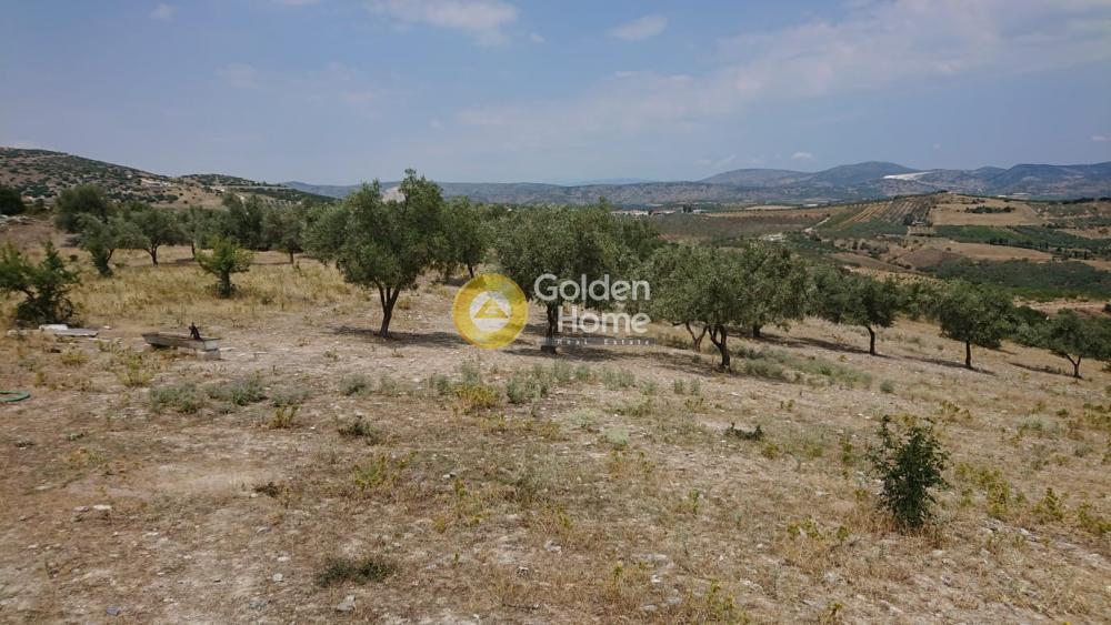 Αγροτεμάχια 9.535 τ.μ. πρός πώληση, Μαγνησία, Αισωνία
