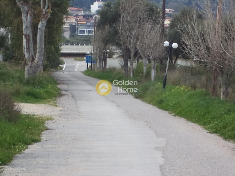 Οικόπεδο 4.050 τ.μ. προς πώληση, Πανόραμα Αιγιάλειας
