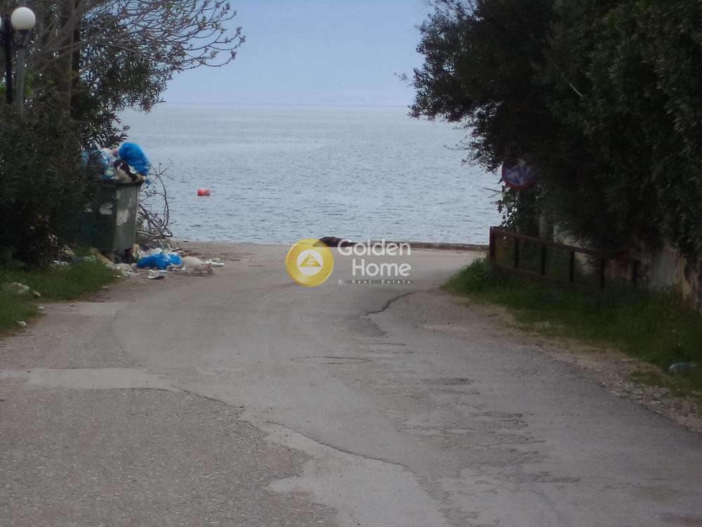 Οικόπεδο 4.050 τ.μ. προς πώληση, Πανόραμα Αιγιάλειας