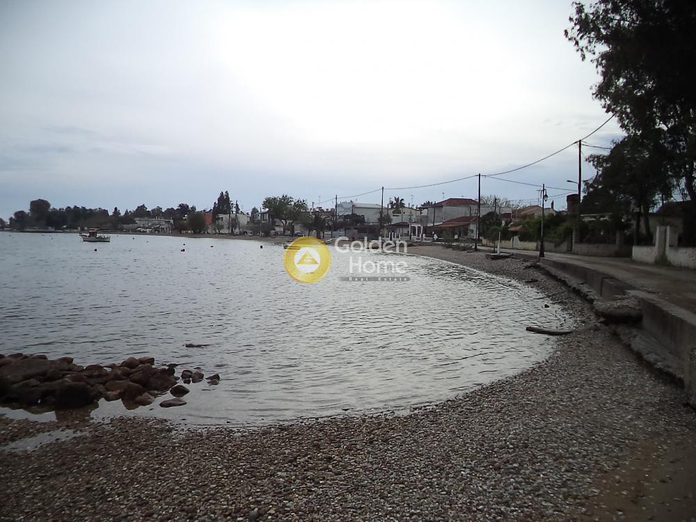 Οικόπεδο 4.050 τ.μ. προς πώληση, Πανόραμα Αιγιάλειας