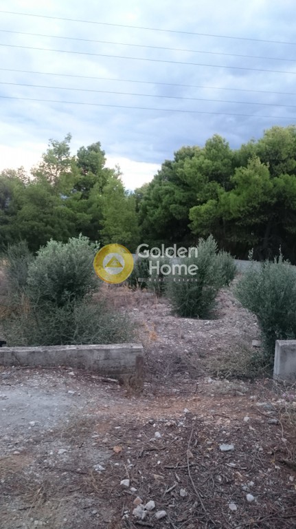 Μονοκατοικία 120 τ.μ. πρός πώληση, Ν. Άρτας, Ηρακλείας