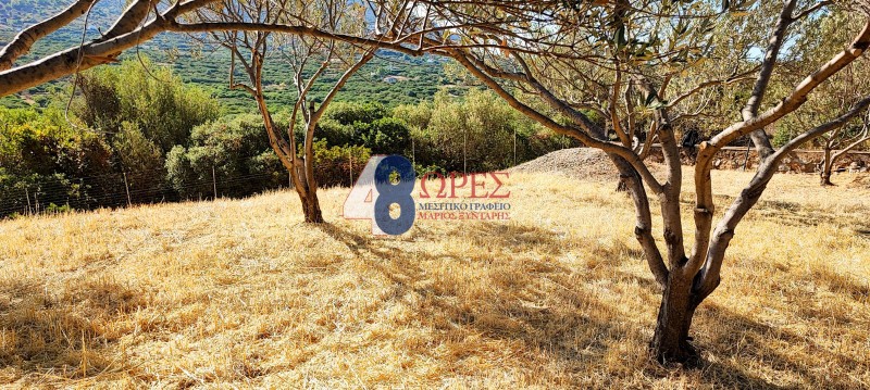 Αγροτεμάχια 315 τ.μ. προς πώληση, Μαστιχοχώρια