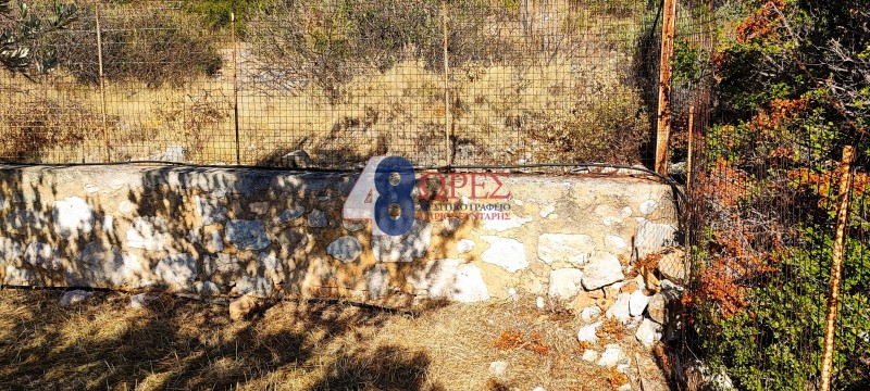 Αγροτεμάχια 315 τ.μ. προς πώληση, Μαστιχοχώρια