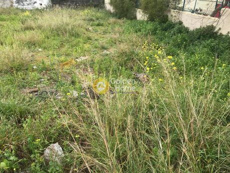 Οικόπεδο 400τ.μ. για πώληση-Ανθηδώνος » Κάνηθος