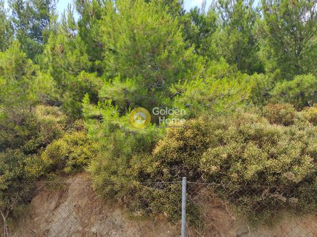Οικόπεδο 491τ.μ. για πώληση-Πικέρμι » Διώνη
