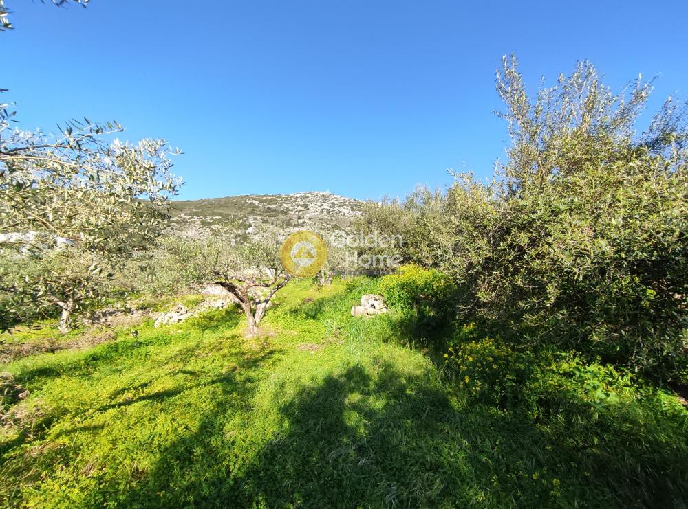 Οικόπεδο 2.335 τ.μ. προς πώληση, Επάνω Αρχάνες