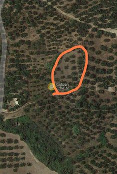 Οικόπεδο 2.607τ.μ. για πώληση-Ζαχάρω » Σχίνοι