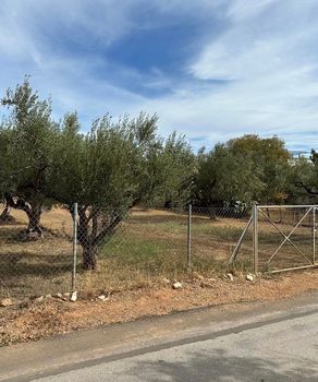 Οικόπεδο 5.000τ.μ. για πώληση-Βάρη- βάρκιζα » Μηλαδέζα
