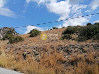 Οικόπεδο 2.900 τ.μ. για πώληση, Ν. Ρεθύμνου, Λάμπη-thumb-5