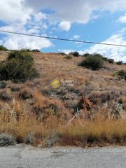 Οικόπεδο 2.900 τ.μ. για πώληση, Ν. Ρεθύμνου, Λάμπη-thumb-10