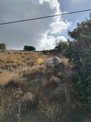 Οικόπεδο 2.900 τ.μ. για πώληση, Ν. Ρεθύμνου, Λάμπη-thumb-17