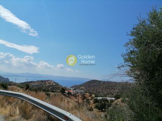 Οικόπεδο 2.900 τ.μ. για πώληση, Ν. Ρεθύμνου, Λάμπη-thumb-1