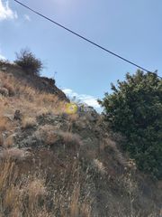 Οικόπεδο 2.900 τ.μ. για πώληση, Ν. Ρεθύμνου, Λάμπη-thumb-19