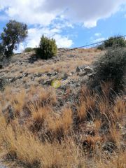 Οικόπεδο 2.900 τ.μ. για πώληση, Ν. Ρεθύμνου, Λάμπη-thumb-16