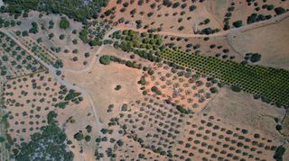 Αγροτεμάχια 4.100 τ.μ. για πώληση, Αργολίδα, Ερμιόνη-thumb-8
