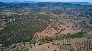 Αγροτεμάχια 4.100 τ.μ. για πώληση, Αργολίδα, Ερμιόνη-thumb-17
