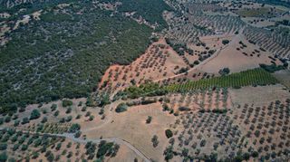 Αγροτεμάχια 4.100 τ.μ. για πώληση, Αργολίδα, Ερμιόνη-thumb-14