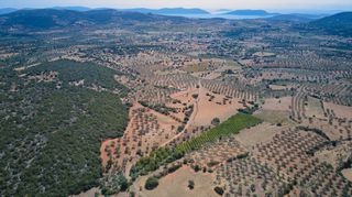Αγροτεμάχια 4.100 τ.μ. για πώληση