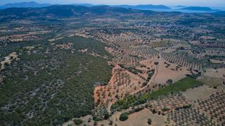 Αγροτεμάχια 4.100 τ.μ. για πώληση, Αργολίδα, Ερμιόνη-thumb-12