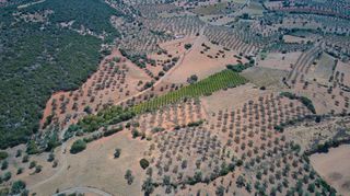 Αγροτεμάχια 4.100 τ.μ. για πώληση, Αργολίδα, Ερμιόνη-thumb-20