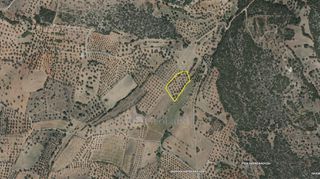 Αγροτεμάχια 4.100 τ.μ. για πώληση, Αργολίδα, Ερμιόνη-thumb-2