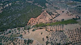 Αγροτεμάχια 4.100 τ.μ. για πώληση, Αργολίδα, Ερμιόνη-thumb-13