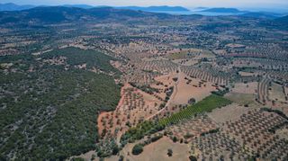 Αγροτεμάχια 4.100 τ.μ. για πώληση, Αργολίδα, Ερμιόνη-thumb-6