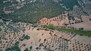 Αγροτεμάχια 4.100 τ.μ. για πώληση, Αργολίδα, Ερμιόνη-thumb-16