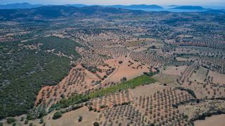 Αγροτεμάχια 4.100 τ.μ. για πώληση, Αργολίδα, Ερμιόνη-thumb-18