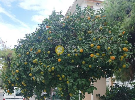 Οικόπεδο 213τ.μ. για πώληση-Παλαιό φάληρο » Πλατεία ντάβαρη