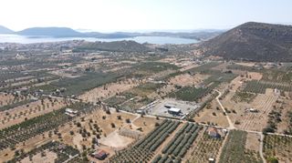Αγροτεμάχια 4.026 τ.μ. για πώληση