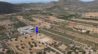 Αγροτεμάχια 4.026 τ.μ. για πώληση, Αργολίδα, Ερμιόνη-thumb-3