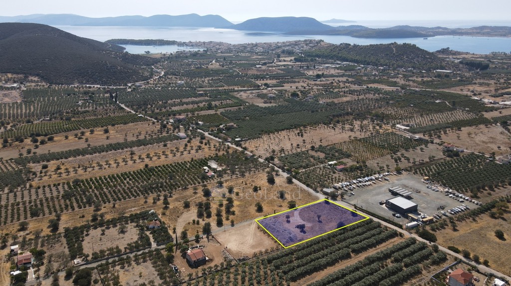 Αγροτεμάχια 4.026 τ.μ. προς πώληση, Αργολίδα, Ερμιόνη