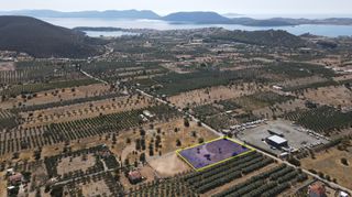 Αγροτεμάχια 4.026 τ.μ. για πώληση, Αργολίδα, Ερμιόνη-thumb-1