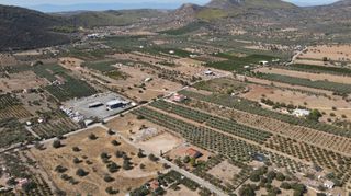 Αγροτεμάχια 4.026 τ.μ. για πώληση, Αργολίδα, Ερμιόνη-thumb-5