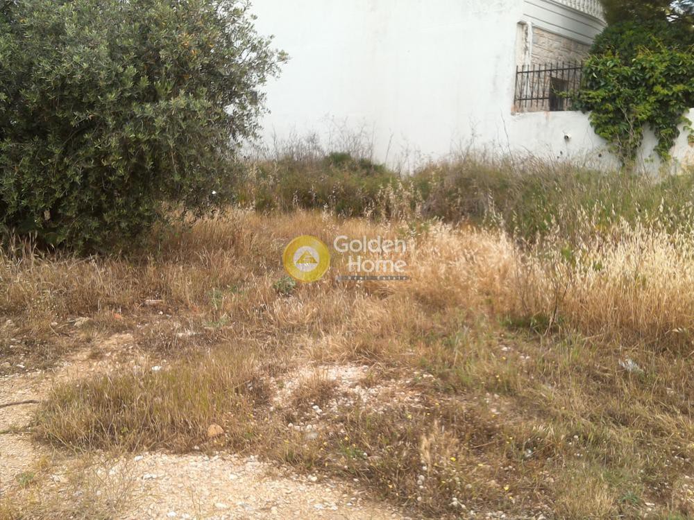 Οικόπεδο 775 τ.μ. προς πώληση, Αμυγδαλέζα