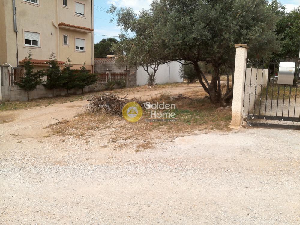 Οικόπεδο 775 τ.μ. προς πώληση, Αμυγδαλέζα