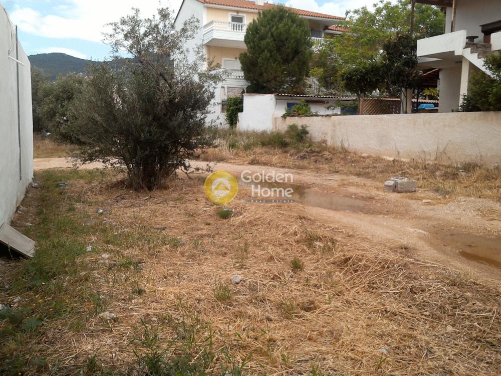Οικόπεδο 775 τ.μ. προς πώληση, Αμυγδαλέζα