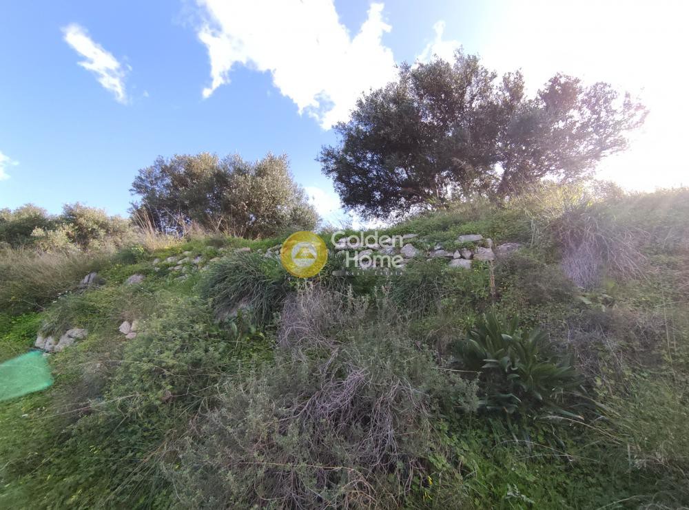 Αγροτεμάχια 2.200 τ.μ. προς πώληση, Πατσίδες