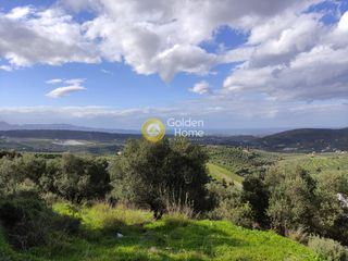 Αγροτεμάχια 2.200 τ.μ. για πώληση