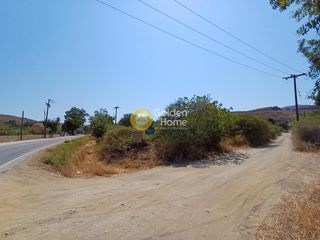Αγροτεμάχια 9.873 τ.μ. για πώληση