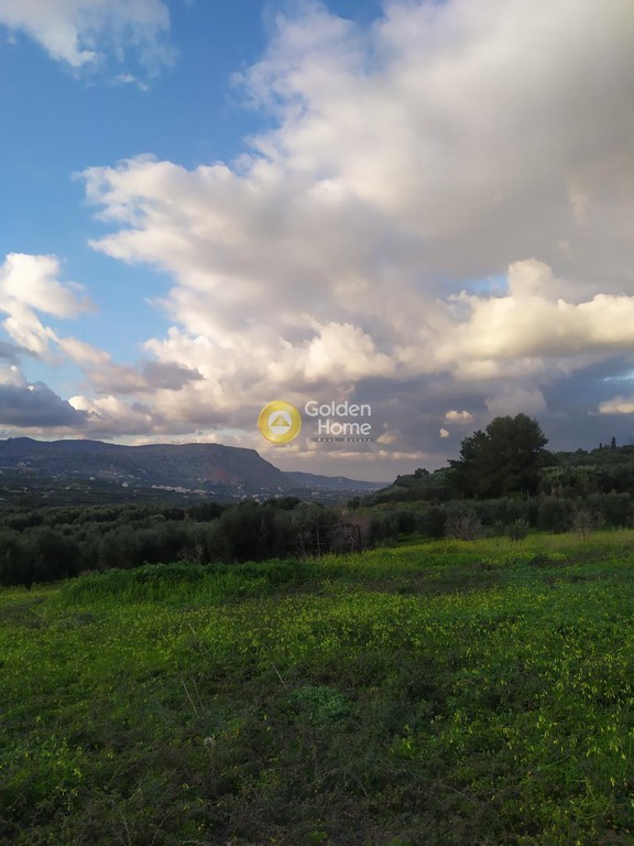 Αγροτεμάχια 1.990 τ.μ. προς πώληση, Κάτω Καλέσια
