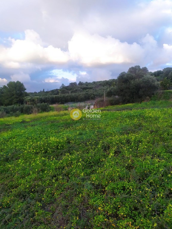 Αγροτεμάχια 1.990 τ.μ. προς πώληση, Κάτω Καλέσια